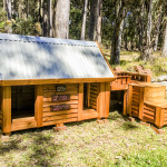 Custom Kennel