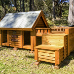 Custom Kennel