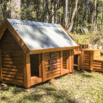 Custom Kennel