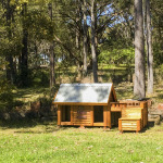 Custom Kennel